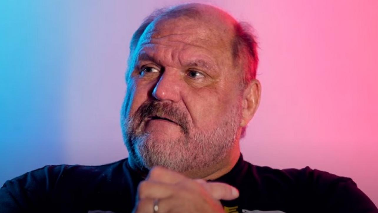 Arn Anderson Sounds Off On AEW's Working Relationship With IMPACT & NJPW