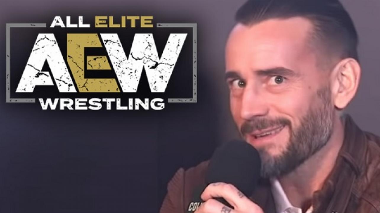 AEW Not Only Negotiated With CM Punk, Entire Promotion Was Almost Launched Based On His Signing