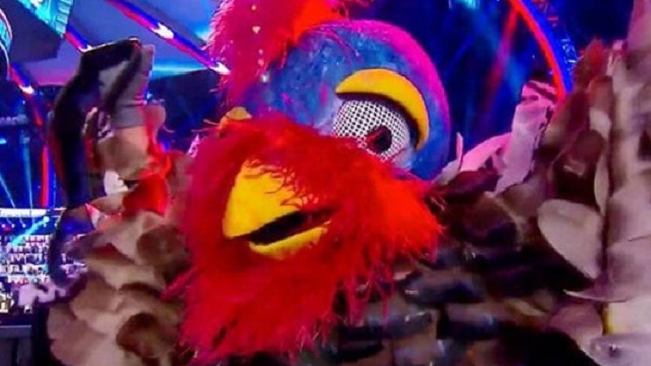 Identity Of Person Who Portrayed The Gobbledy Gooker At WWE Survivor Series 2020