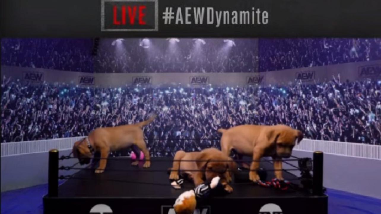 WATCH AEW Puppy Battle Royale From FYTER FEST Night Two (VIDEO)