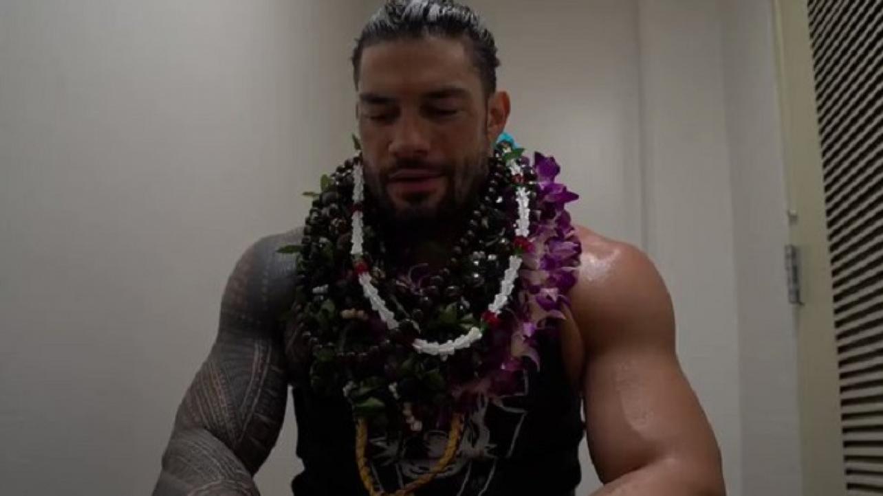 The Big Dog Returns To Hawaii (VIDEO)