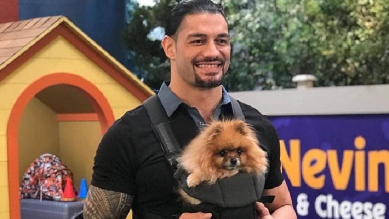 WWE Edits Roman Reigns Out Of WrestleMania 31 Highlights On RAW, Update On "The Big Dog" In WWE Doghouse