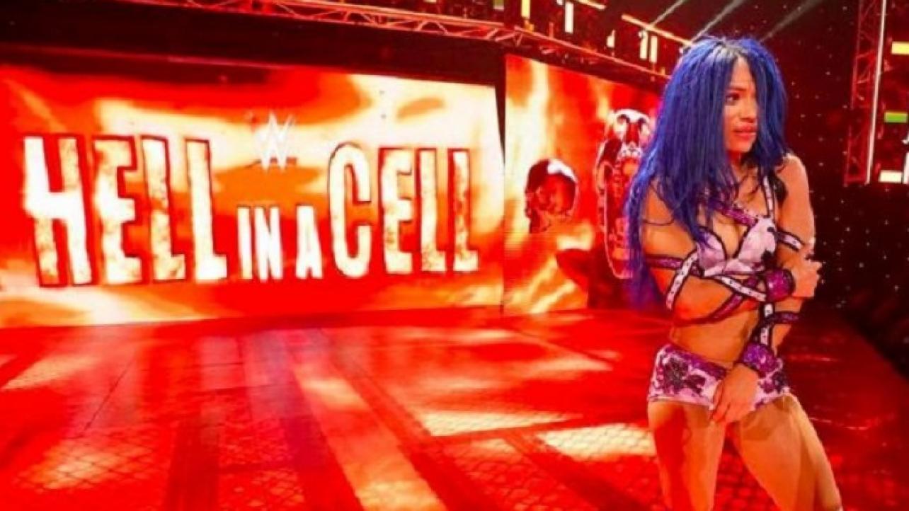 Update: Sasha Banks' Injury From WWE Hell In A Cell Worse Than Originally Expected