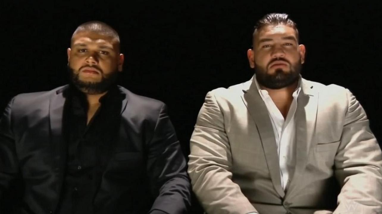 AOP Among Predicted Breakout WWE Superstars For 2020 (VIDEO)