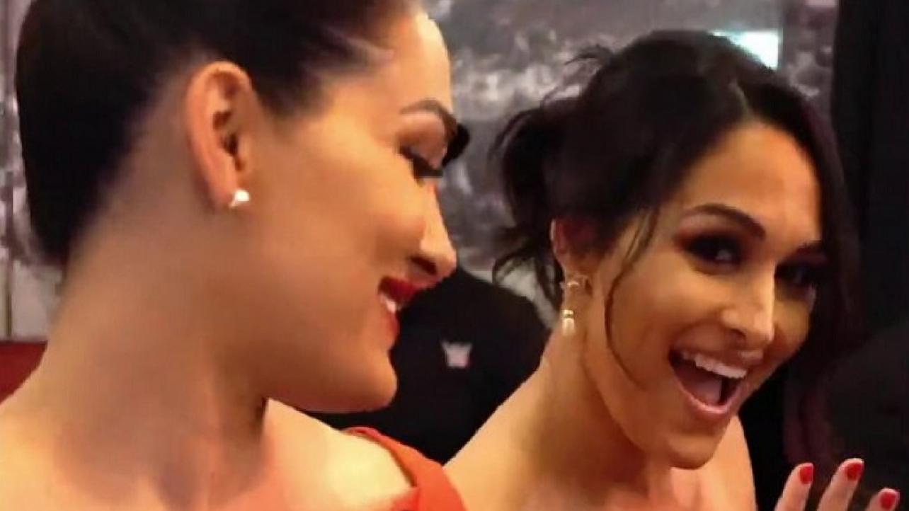 Nikki Bella Wasn't A Fan Of How Bianca Belair Was Booked At SummerSlam This Year