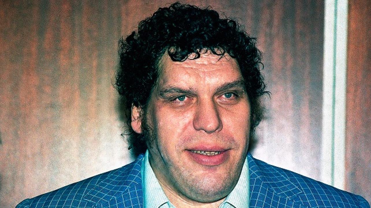 Check Out The Trailer For Andre The Giant's New Documentary