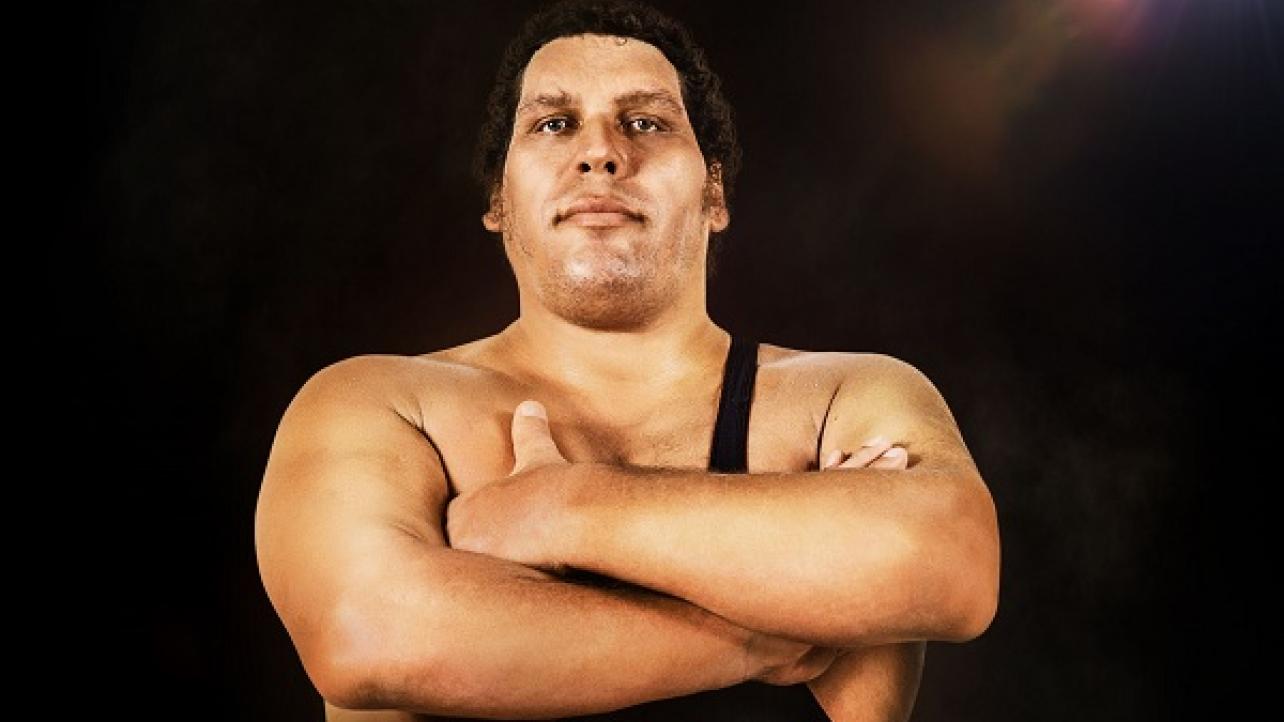Andre The Giant Documentary News