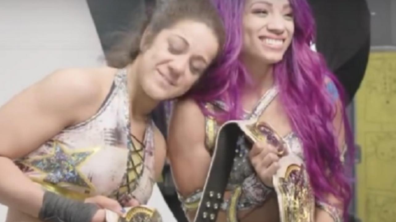 WWE Elimination Chamber 2019 News & Notes