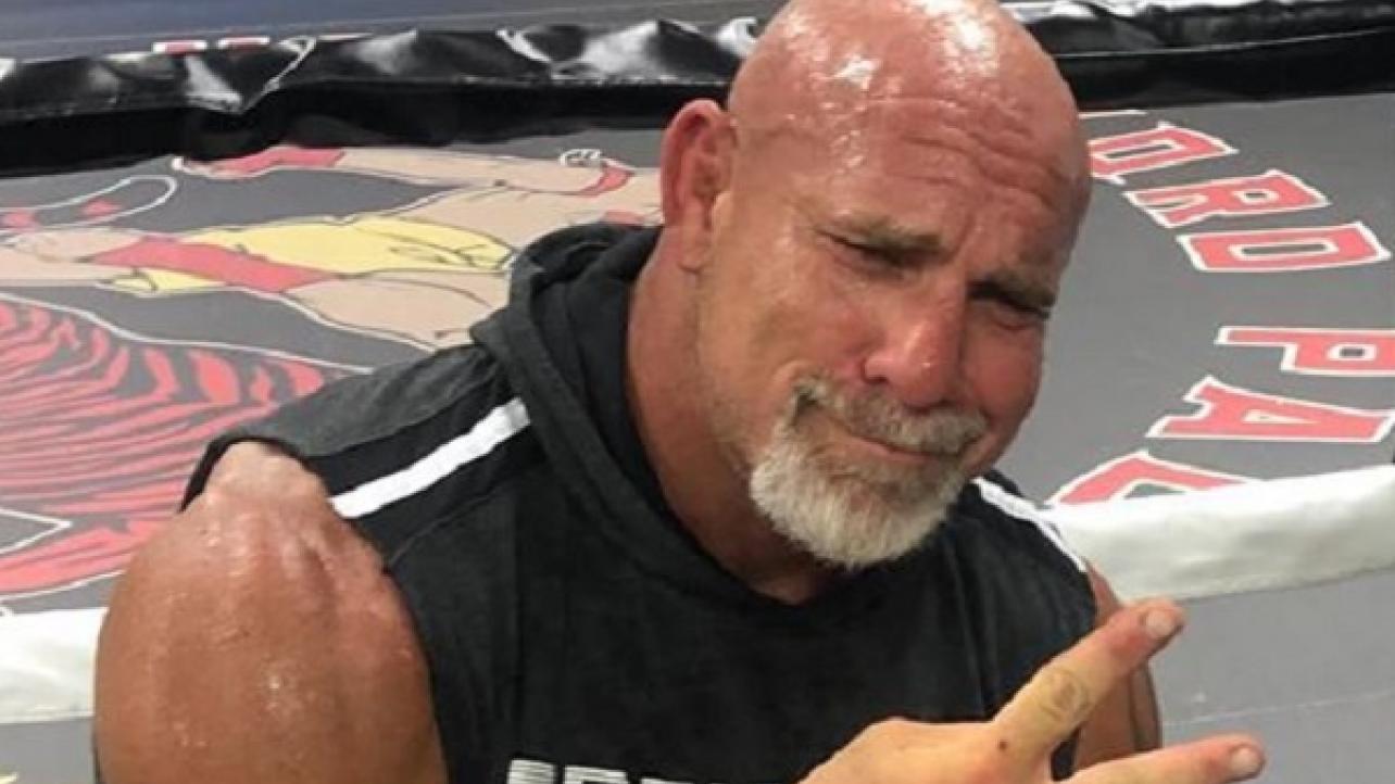 Goldberg Teases WWE Return In June 2019