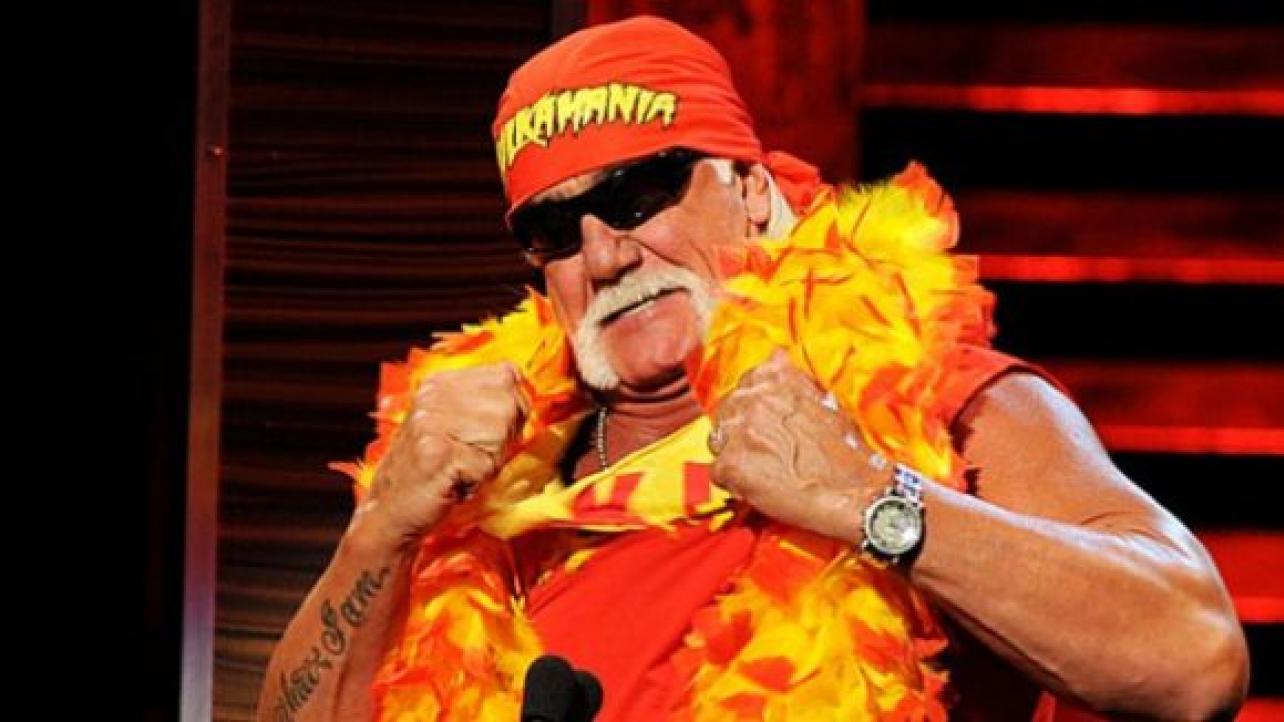 Hulk Hogan Appears On FOX News