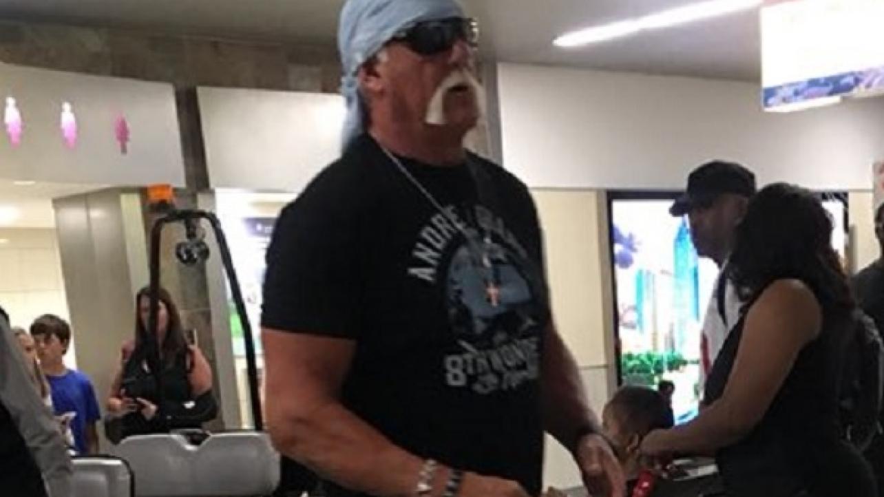 Hulk Hogan & Roman Reigns Updates