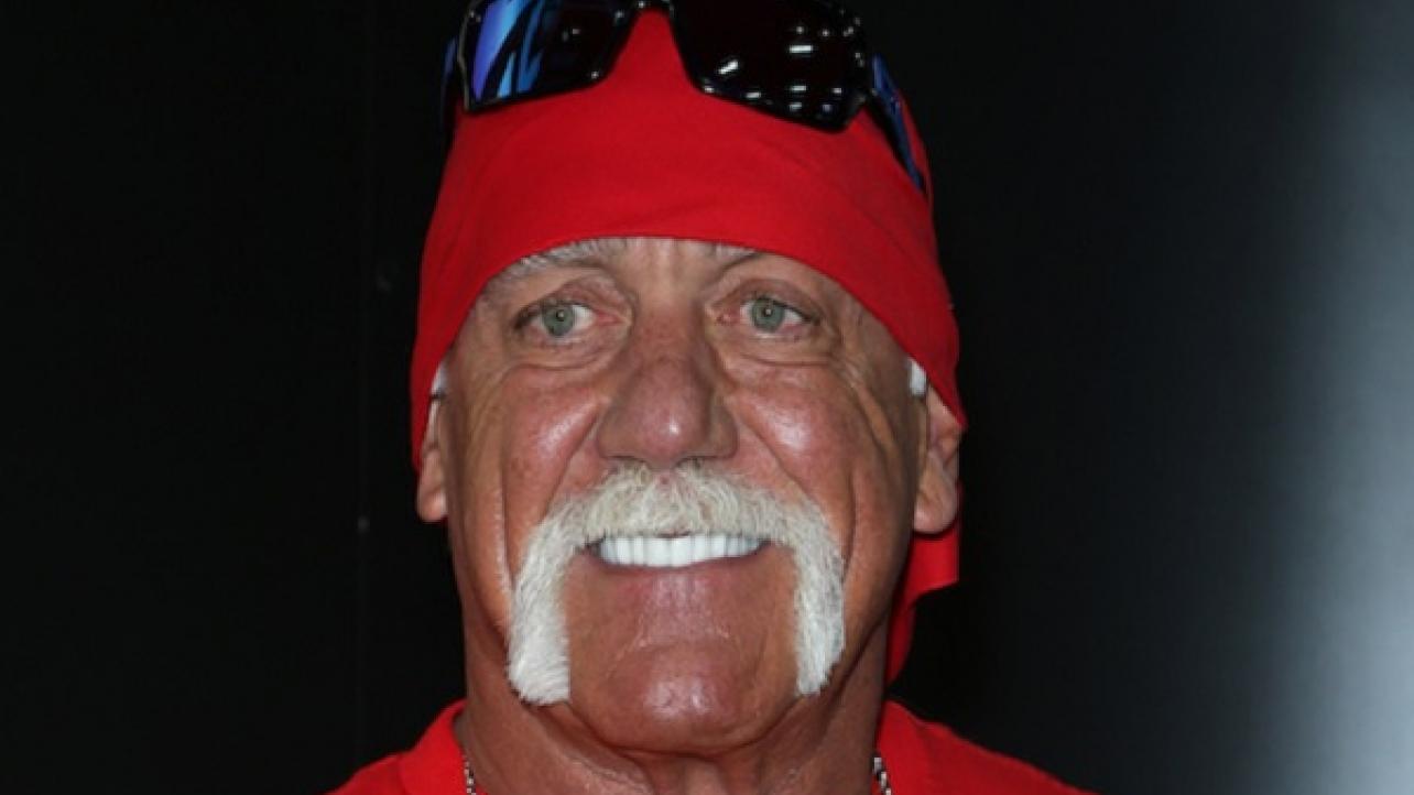 Hulk Hogan/RAW Update