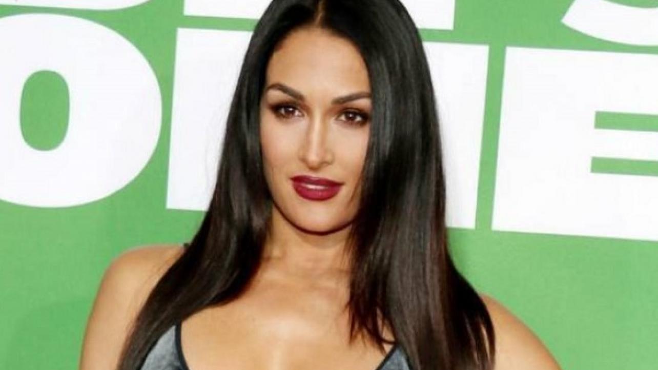 Nikki Bella Talks To E! Live From The Red Carpet