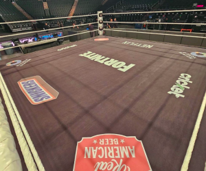 New WWE Raw Ring